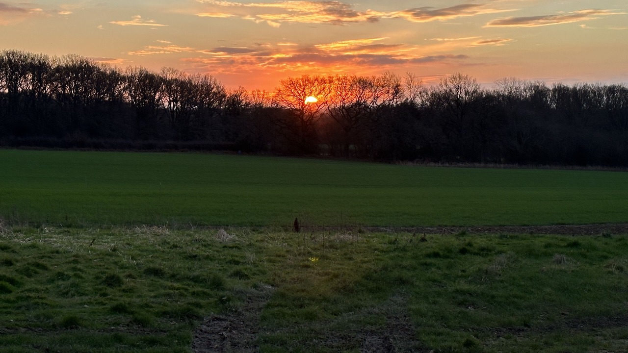 Photo of Others in Dorking