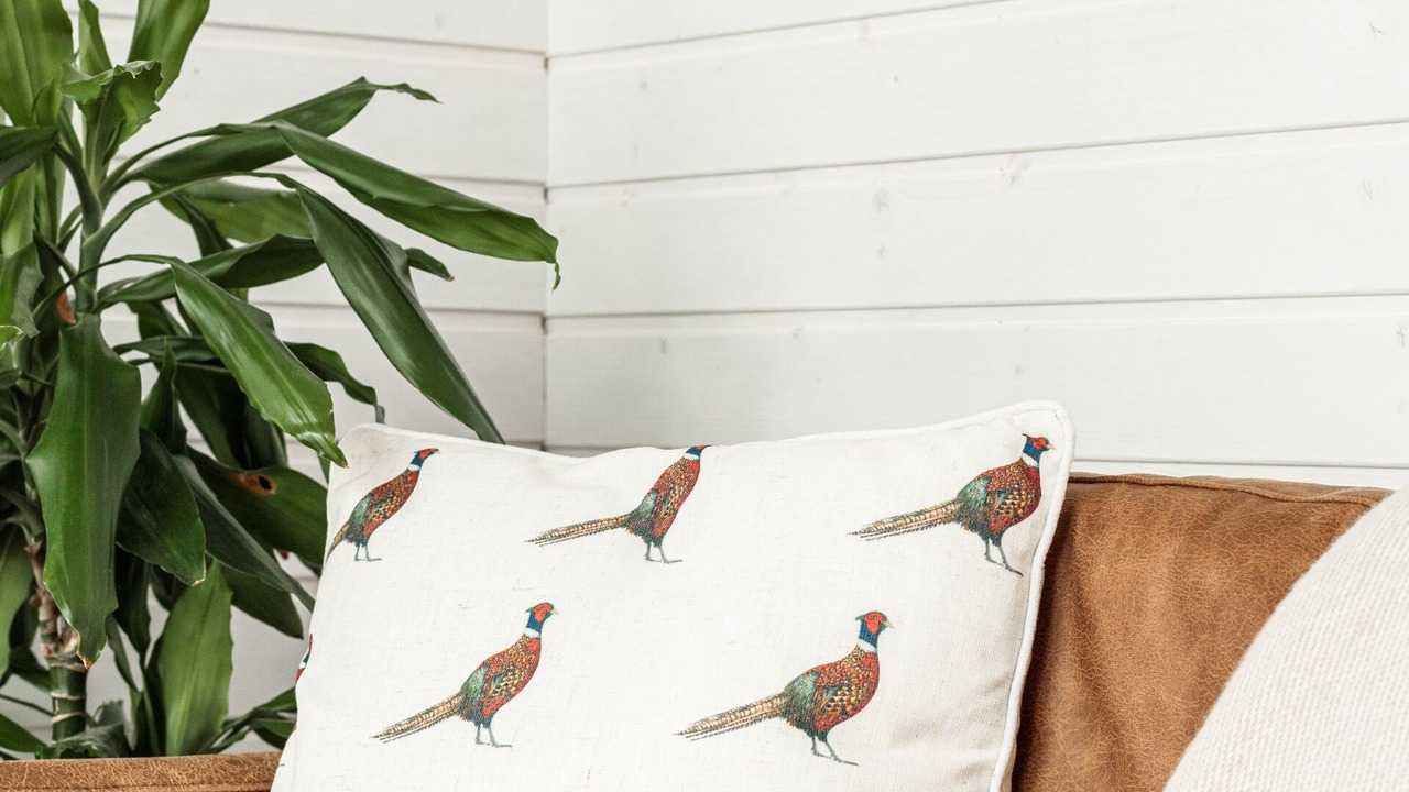 Photo of Bedroom in Cymau