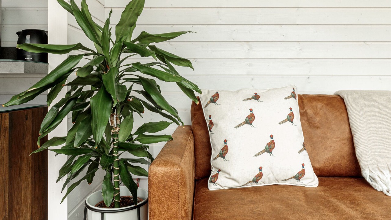 Photo of Bedroom in Cymau