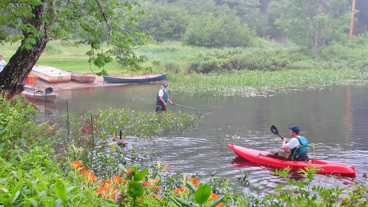 Photo of Others in Boothbay