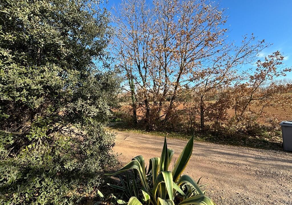 Photo of Outdoor in Canet