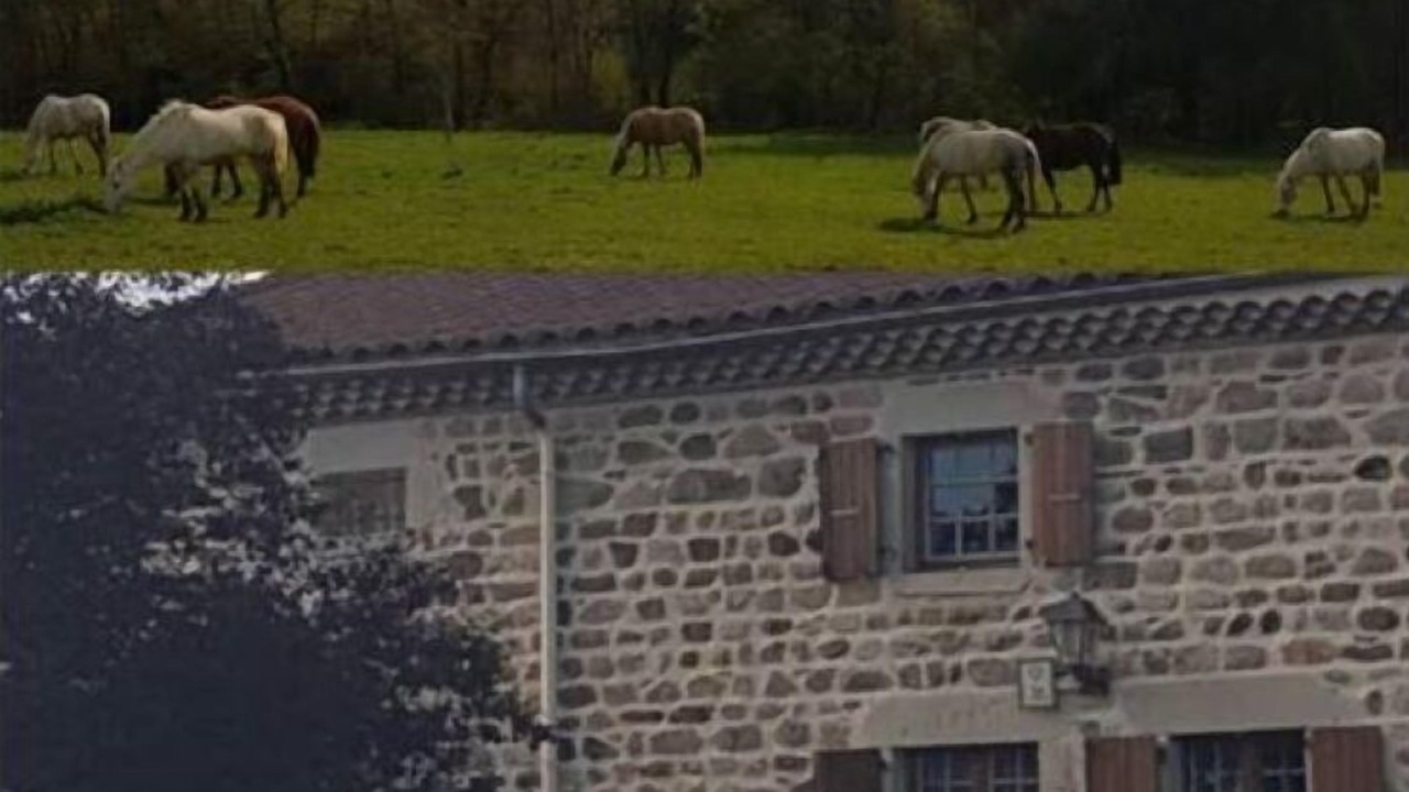 Photo of Outdoor in Sugeres
