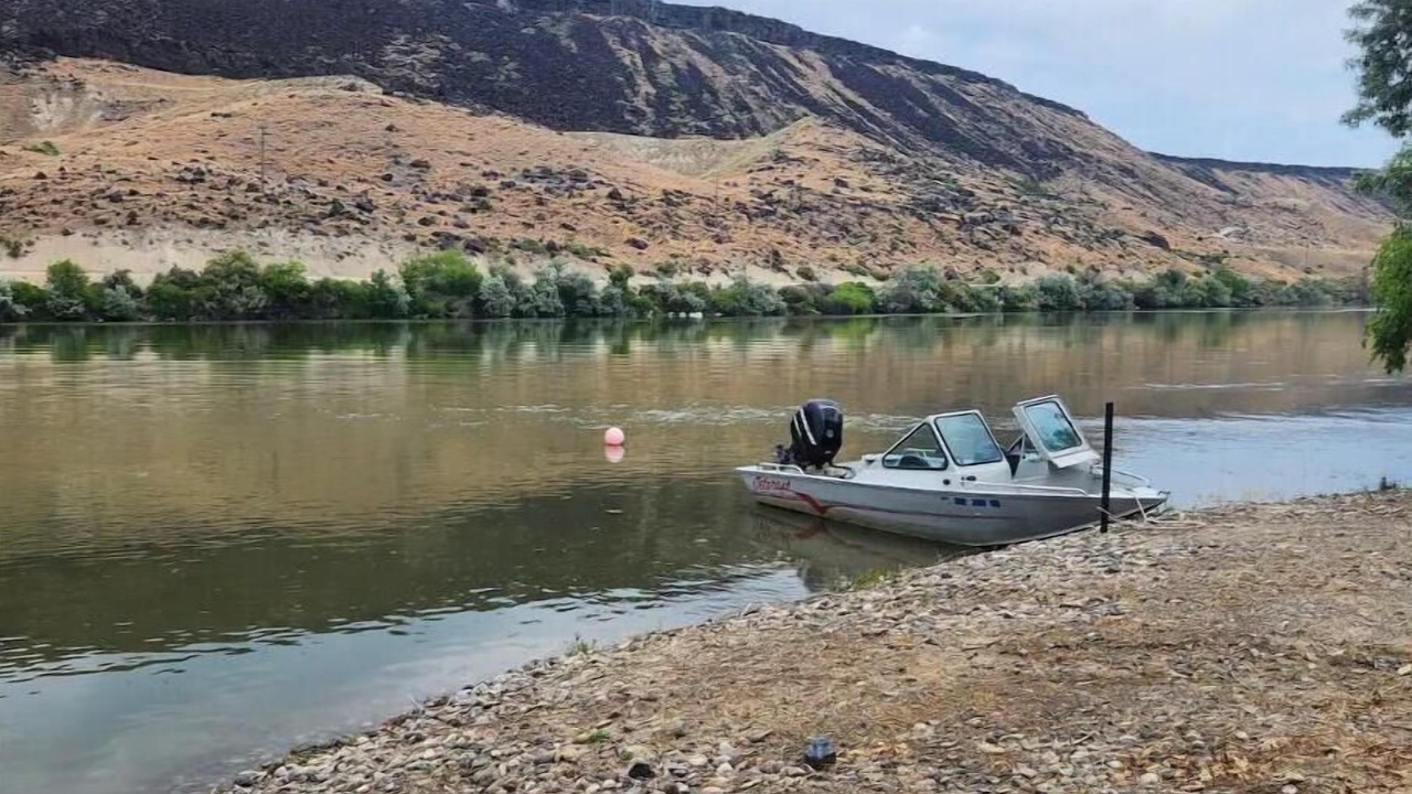 Photo of Others in Wilson