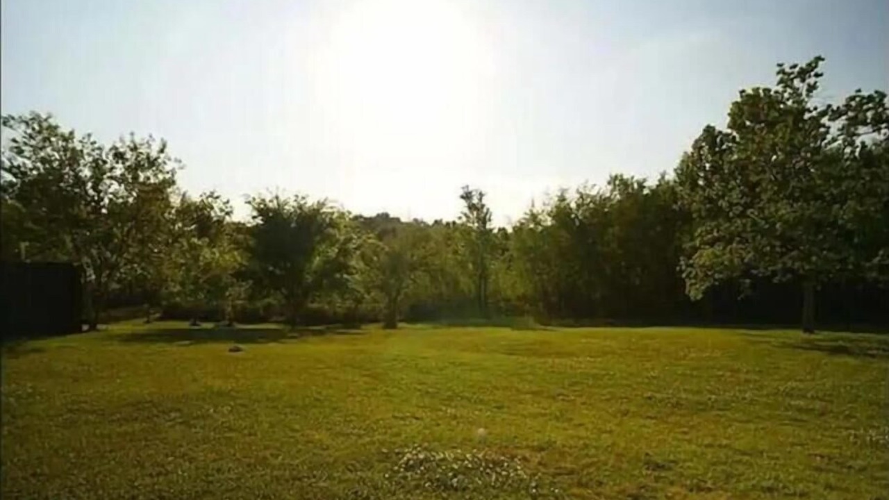 Photo of Others in Sunshine