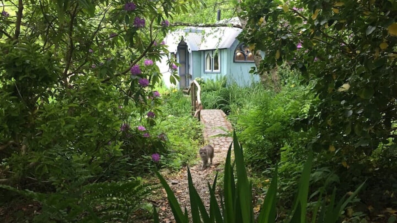 Photo of Outdoor in Bude