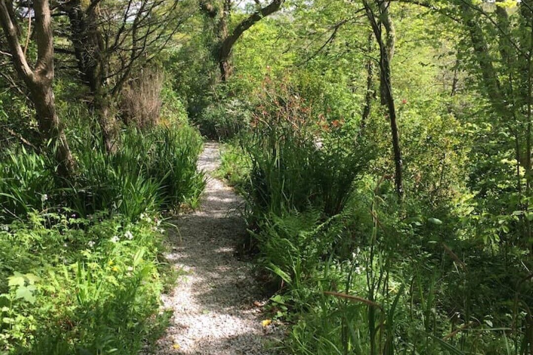 Photo of Outdoor in Bude