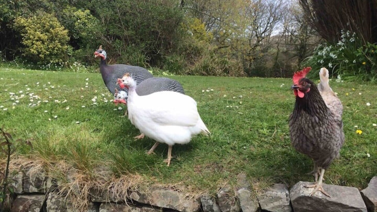 Photo of Outdoor in Bude