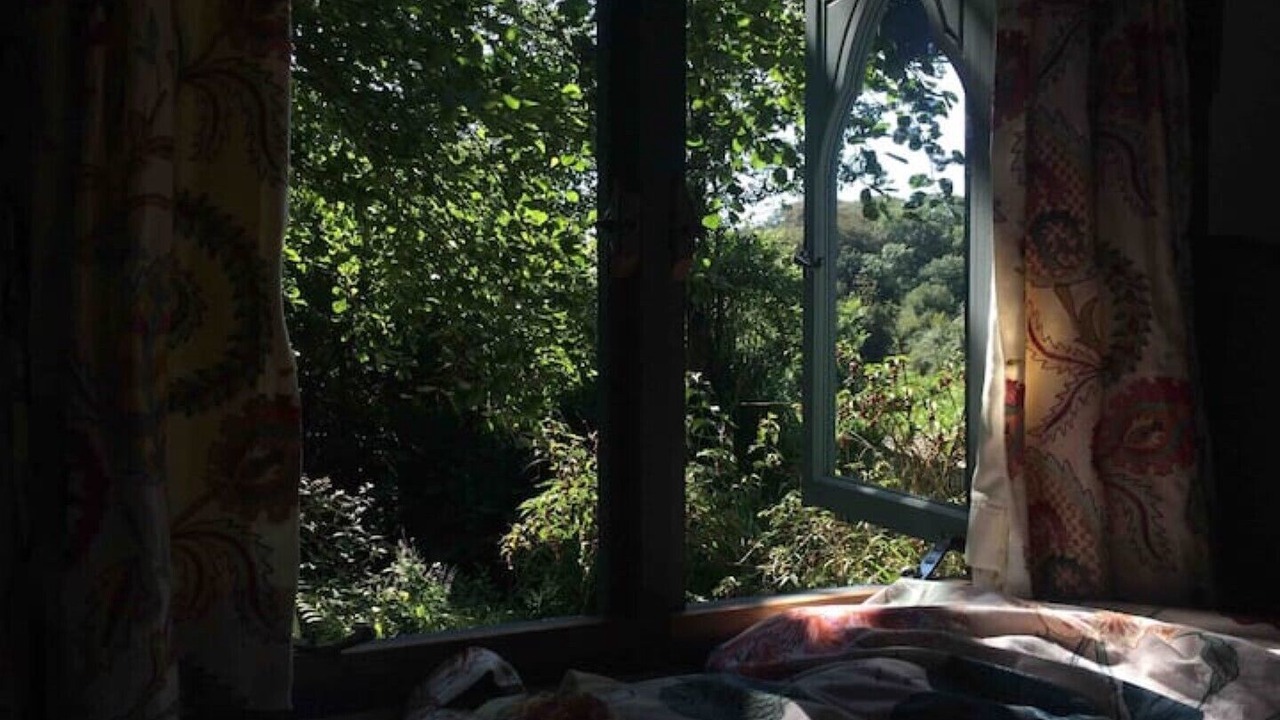 Photo of Others in Bude