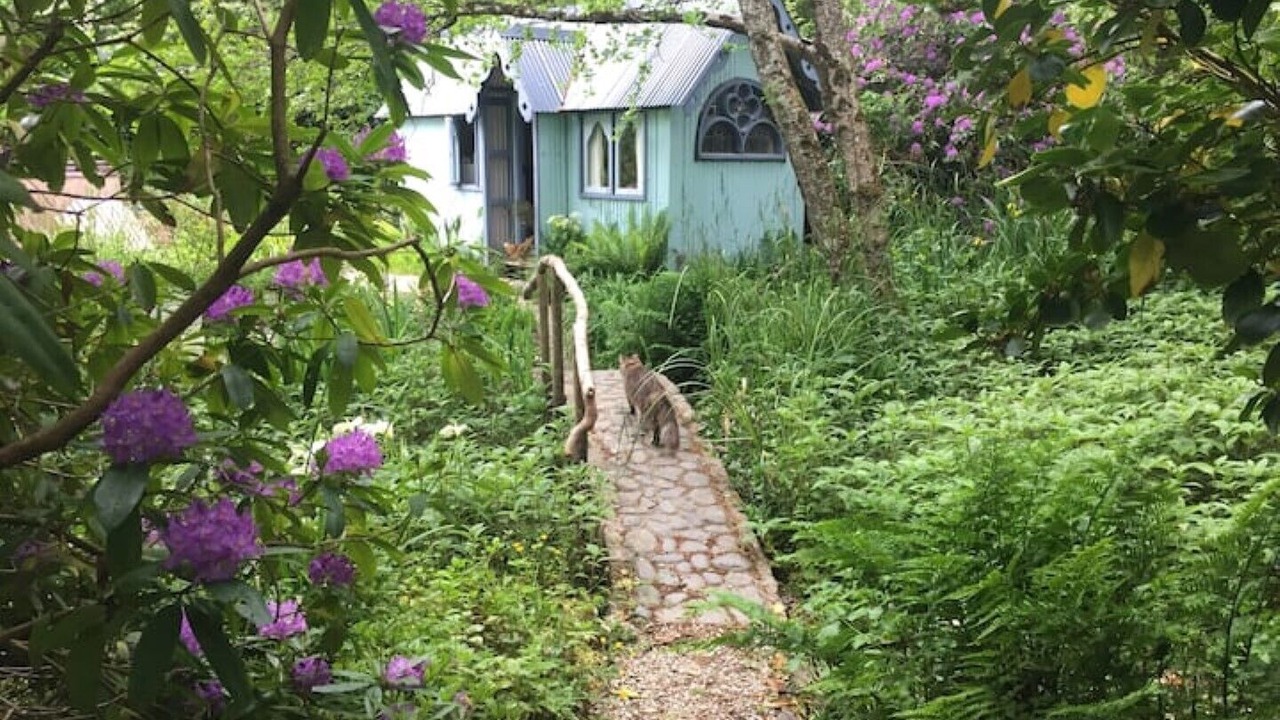 Photo of Outdoor in Bude