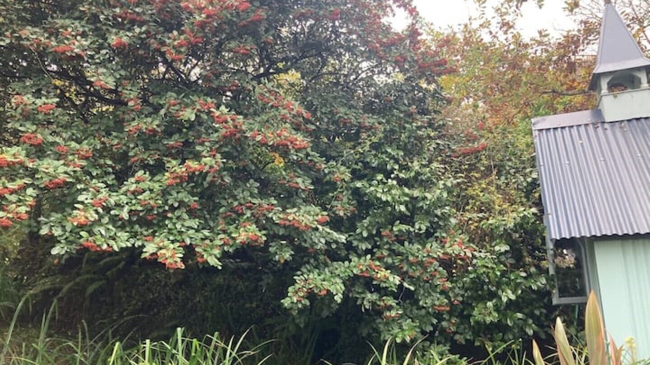 Photo of Outdoor in Bude