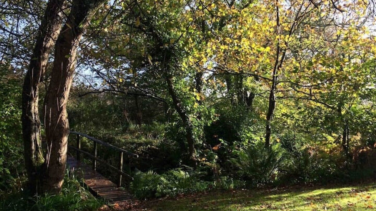 Photo of Outdoor in Bude