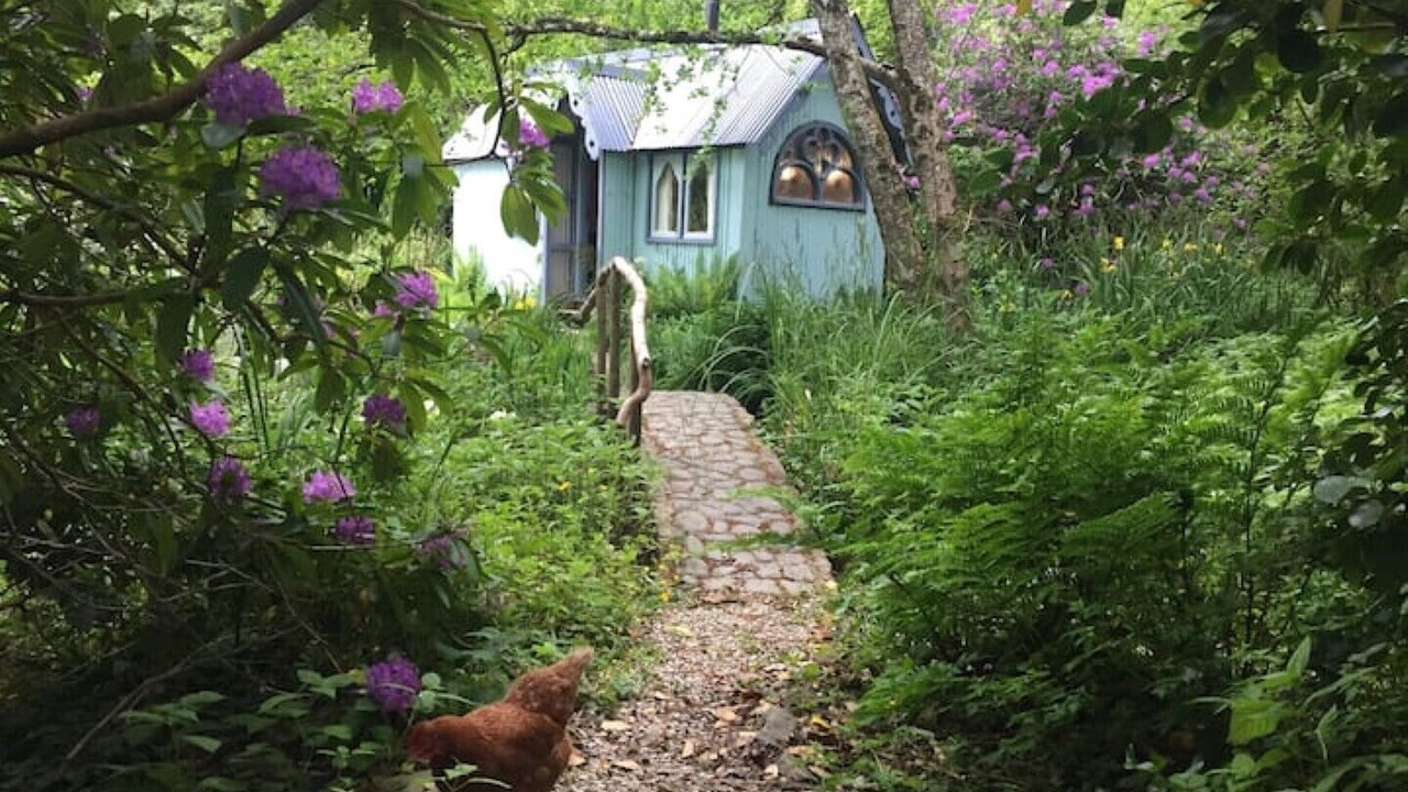 Photo of Outdoor in Bude