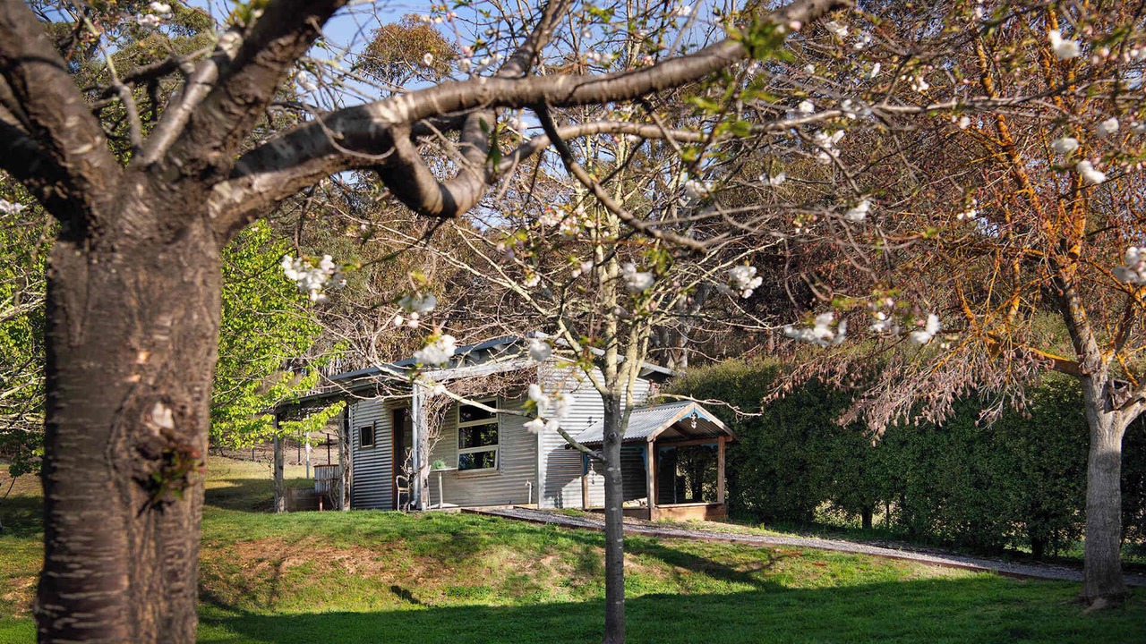 Photo of Outdoor in Shepherds Flat