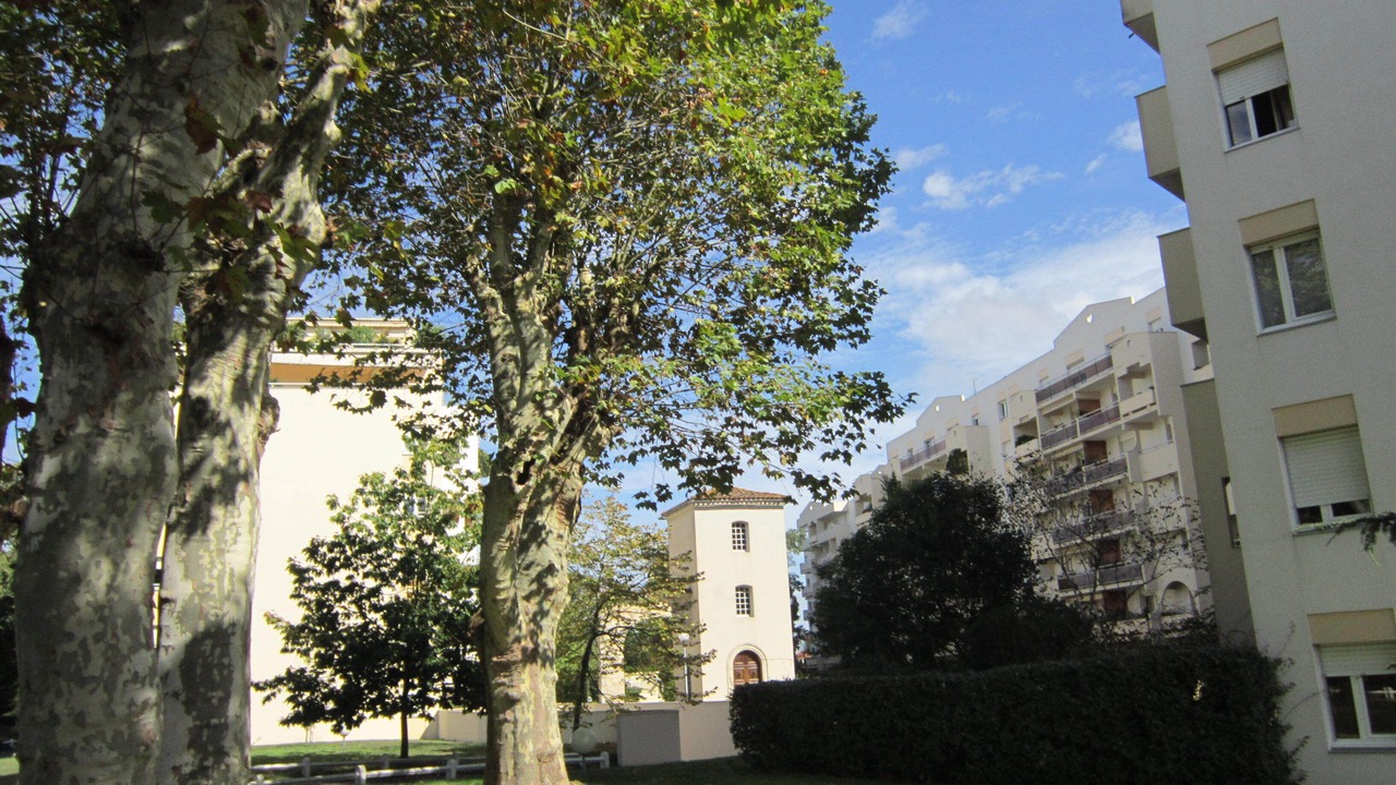 Photo of Outdoor in Cauderan