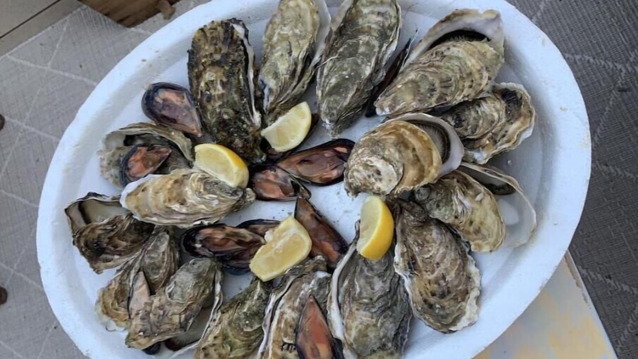 Photo of Others in Ginestas