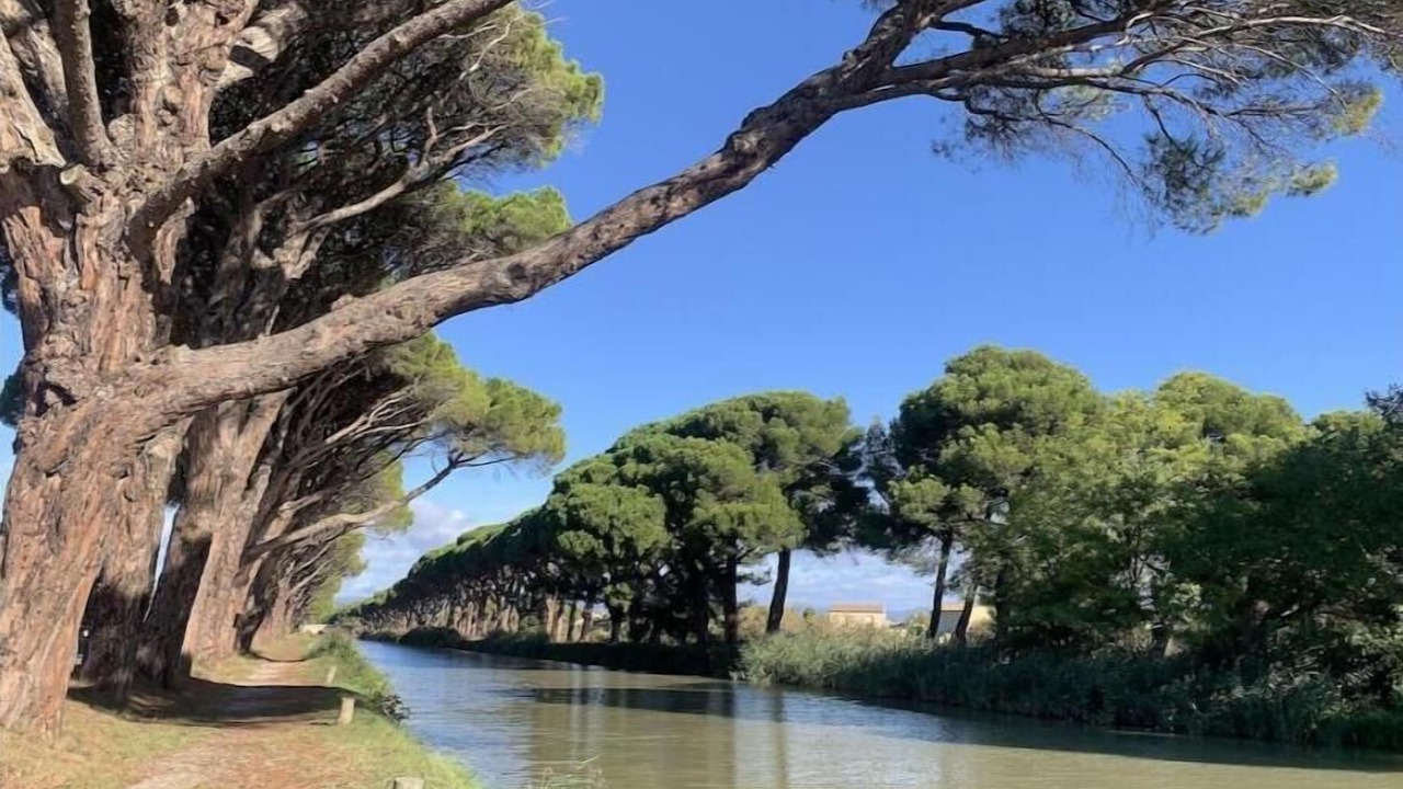 Photo of Outdoor in Ginestas