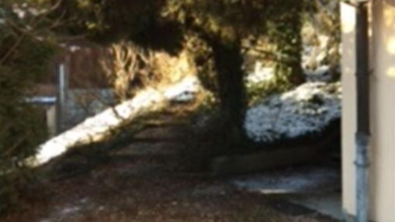 Photo of Outdoor in Syens