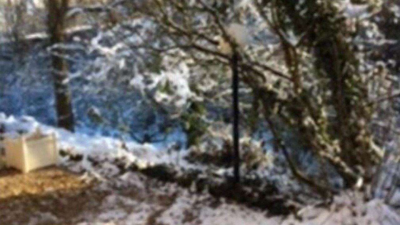 Photo of Others in Syens