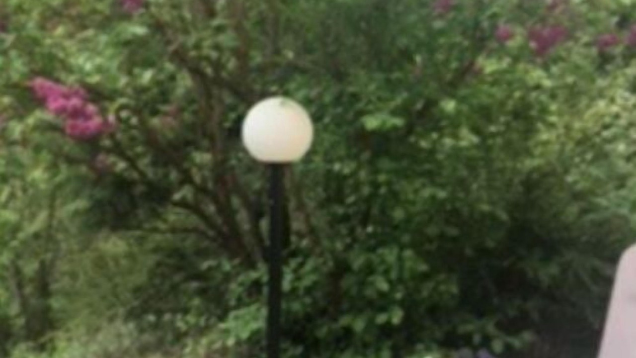 Photo of Others in Syens