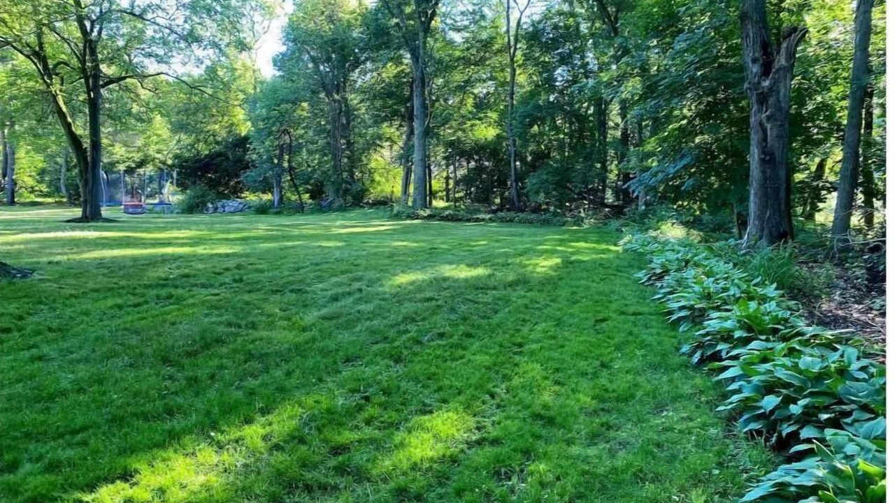 Photo of Outdoor in Lexington