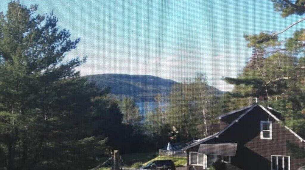 Photo of Others in Lake George