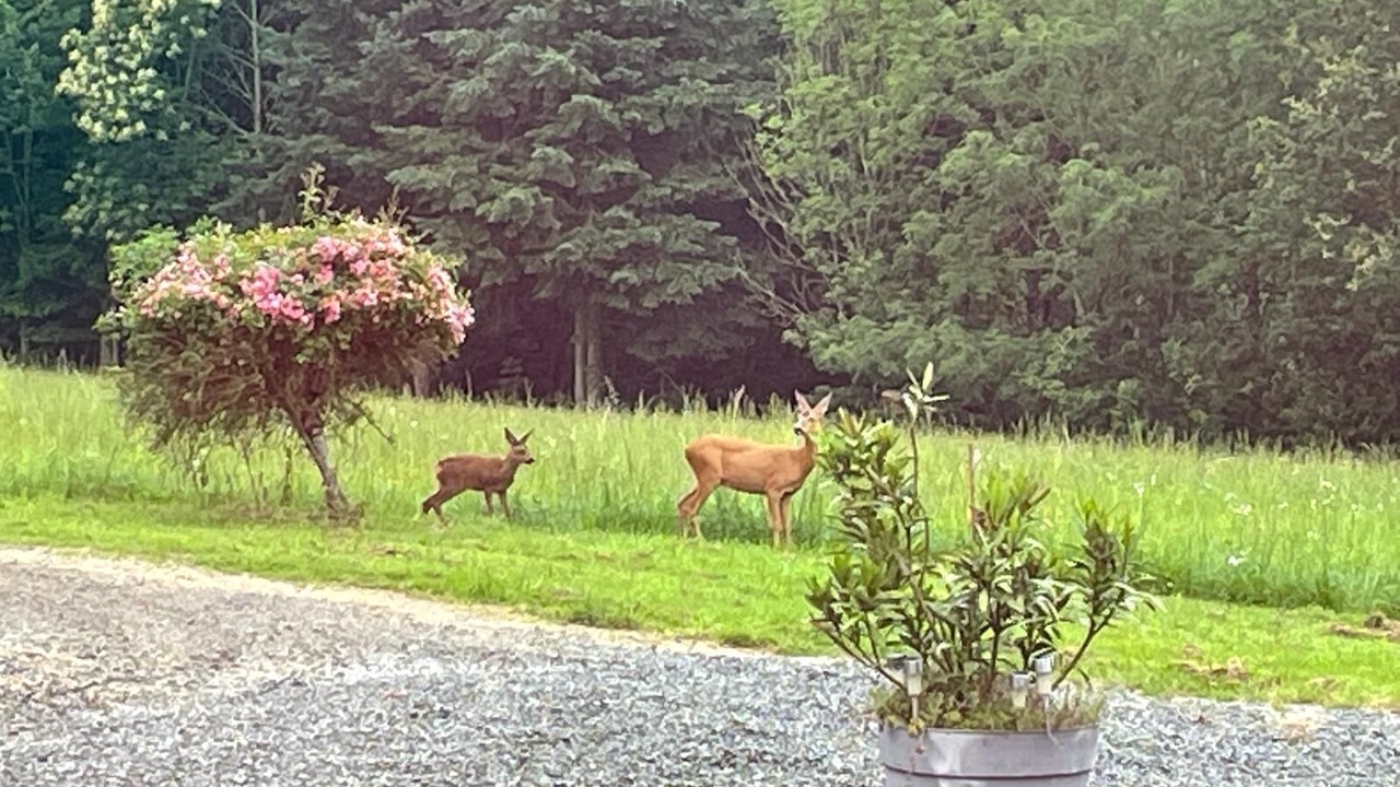 Photo of Outdoor in Bais
