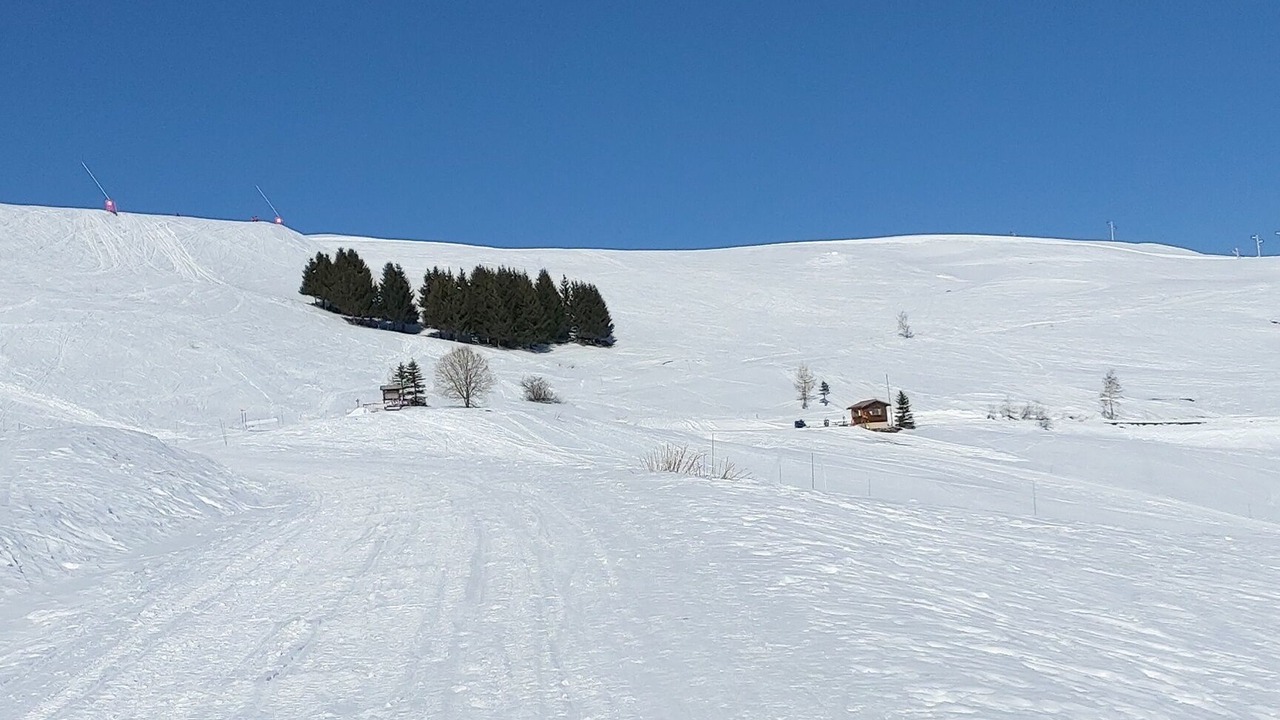 Photo of Others in Quartier Villeneuve - Village-Olympique
