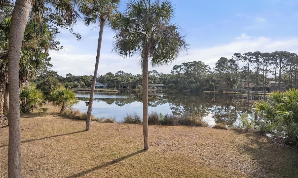 Photo of Outdoor in Blue Heron Lake