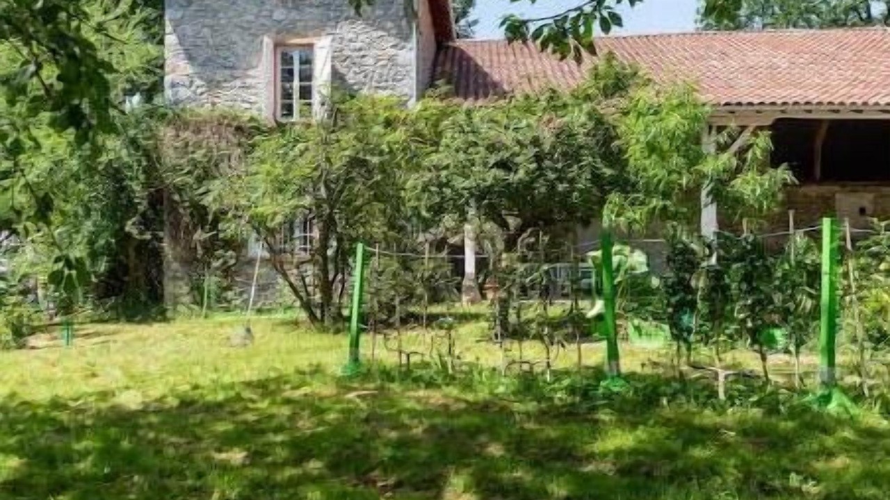 Photo of Outdoor in Montgauch