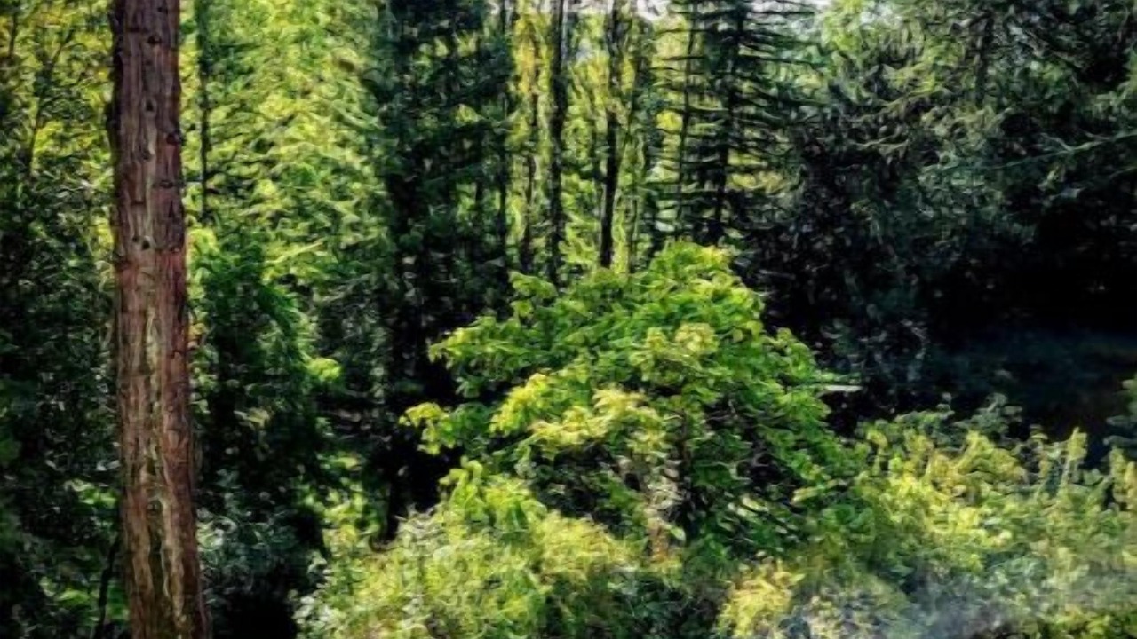 Photo of Outdoor in Langeais