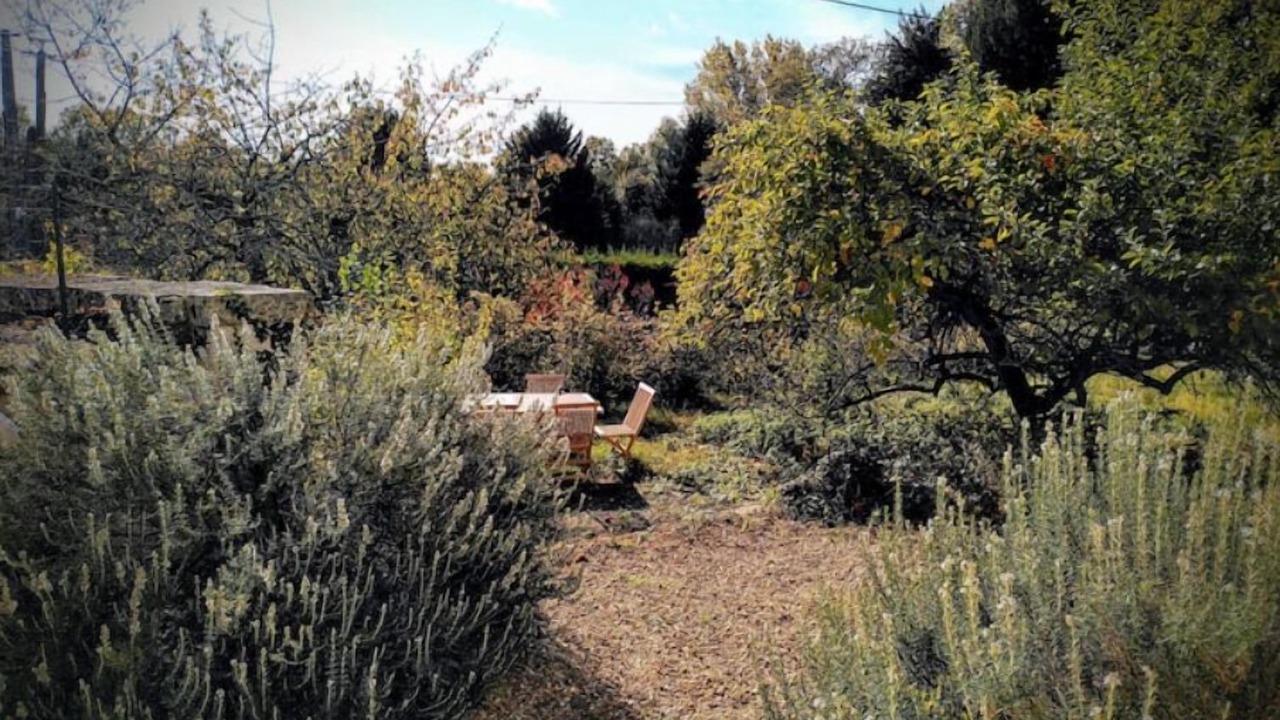 Photo of Outdoor in Langeais