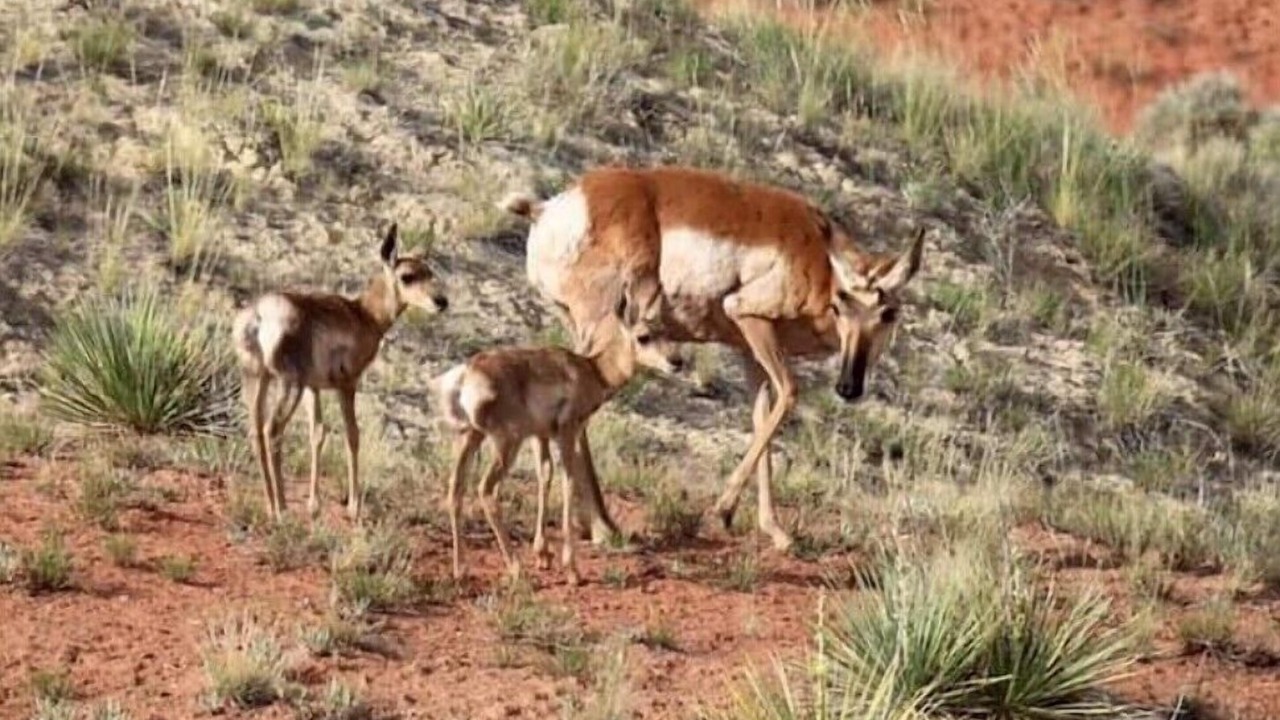 Photo of Others in Thermopolis
