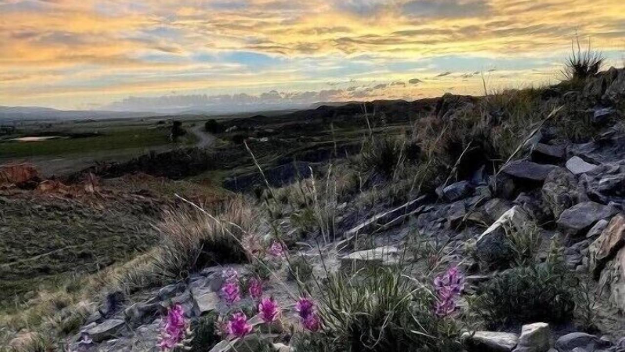 Photo of Others in Thermopolis