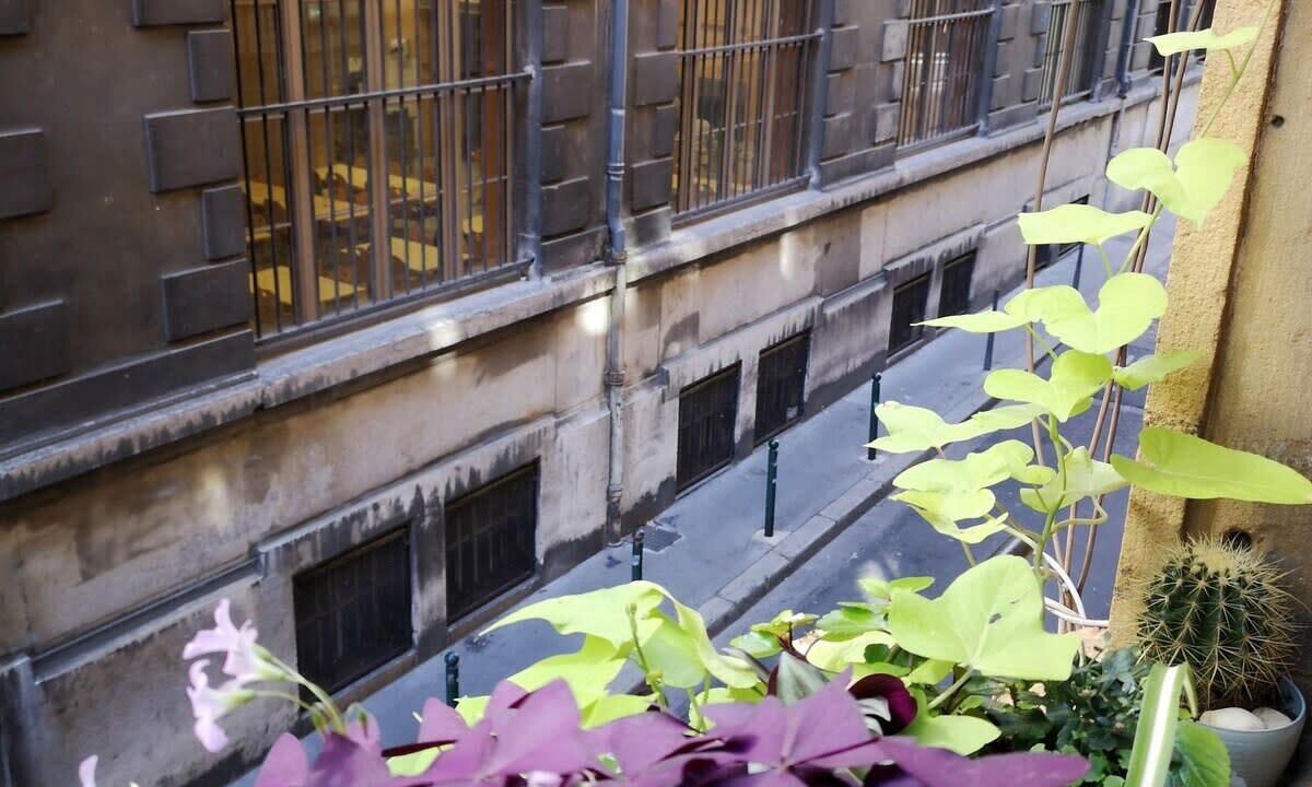 Photo of Outdoor in Griffon - Royale
