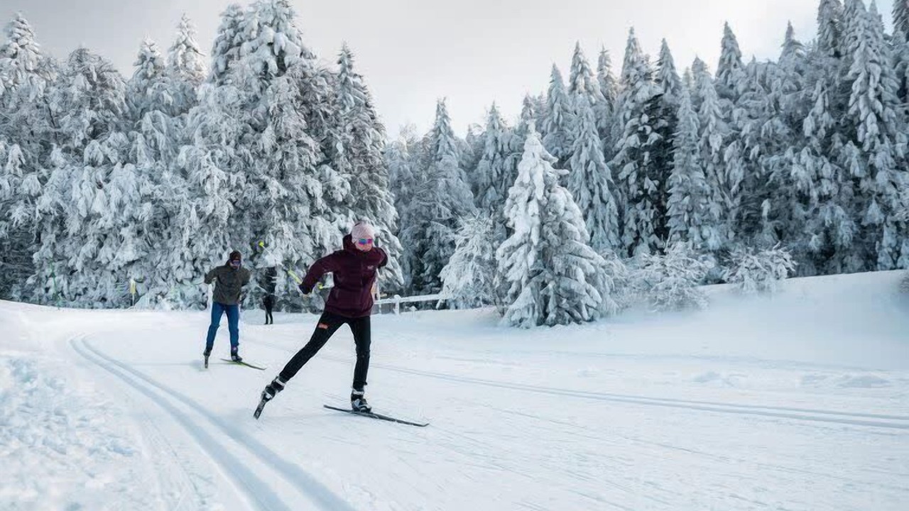 Photo of Others in La Feclaz