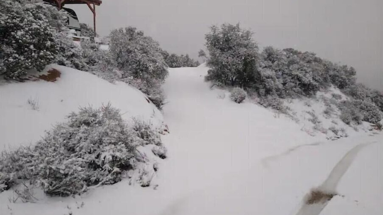 Photo of Outdoor in Descanso