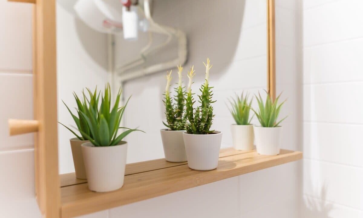 Photo of Others in Villette Gare