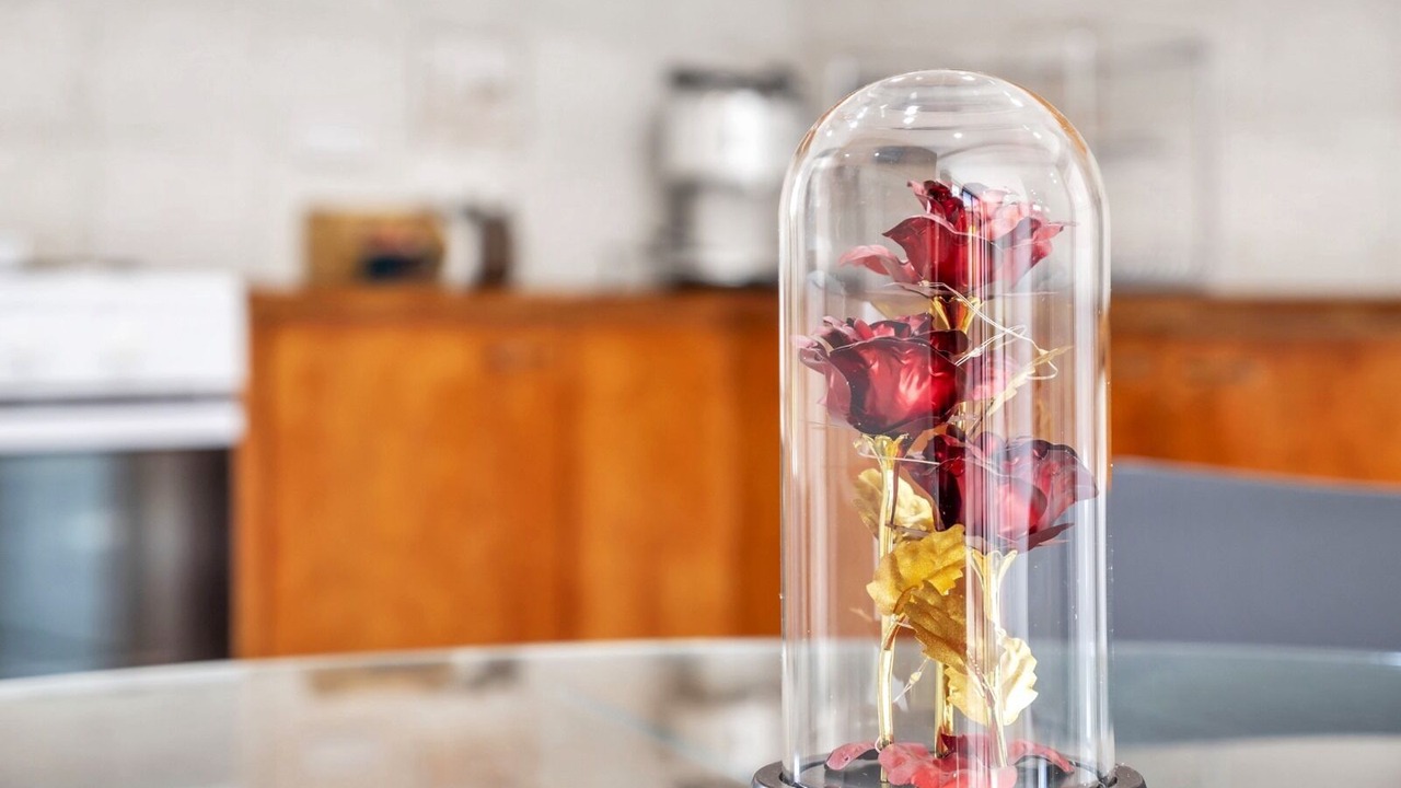 Photo of Others in Merrylands