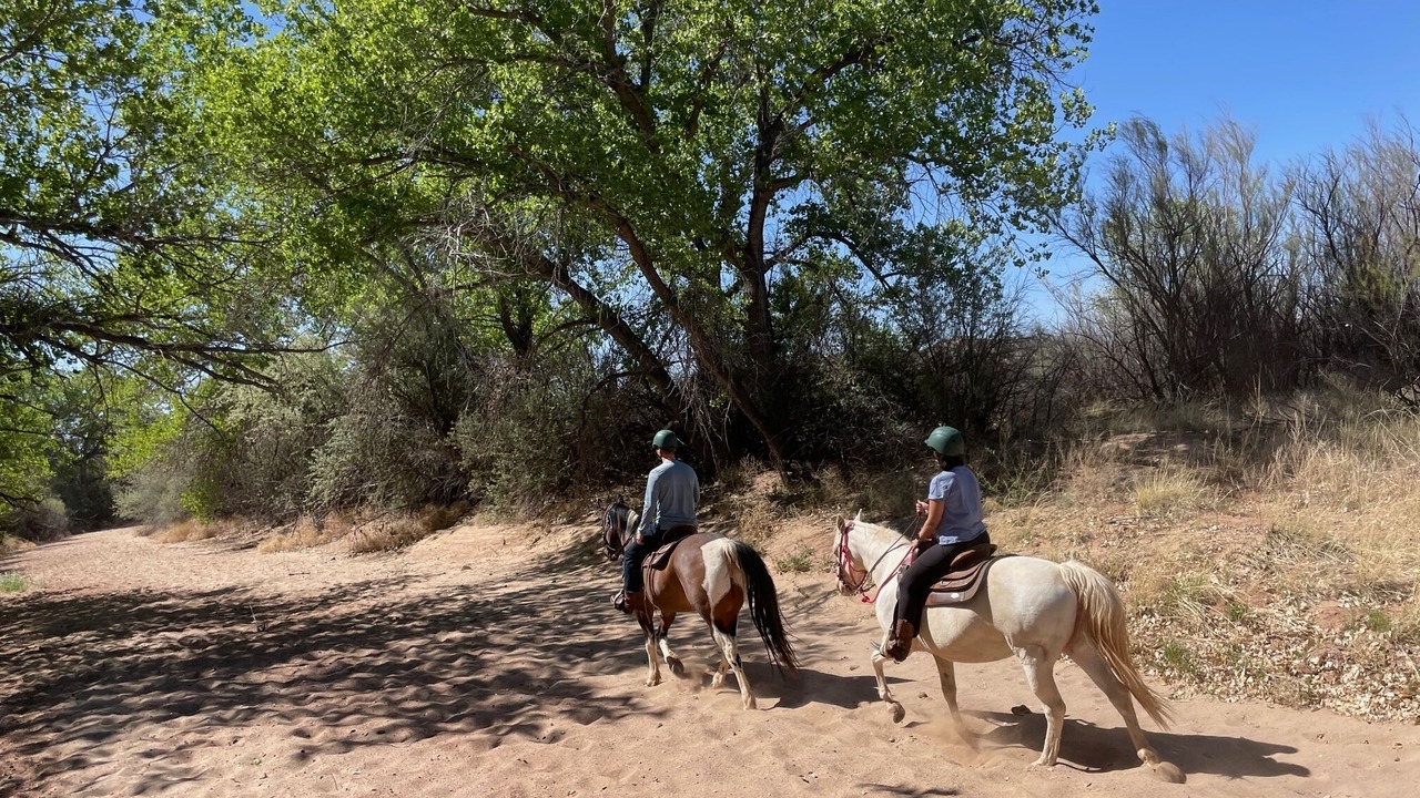 Photo of Outdoor in Cerrillos