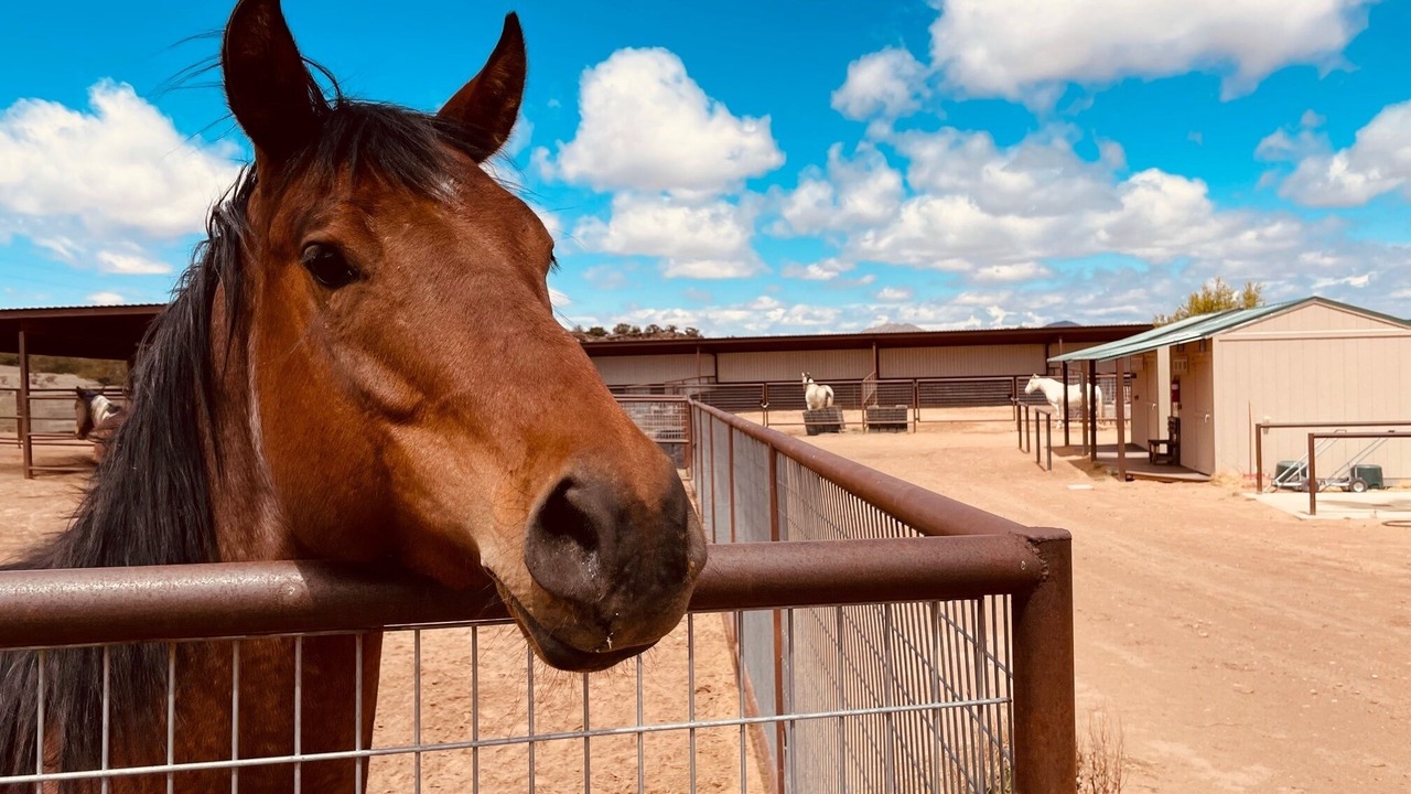 Photo of Outdoor in Cerrillos