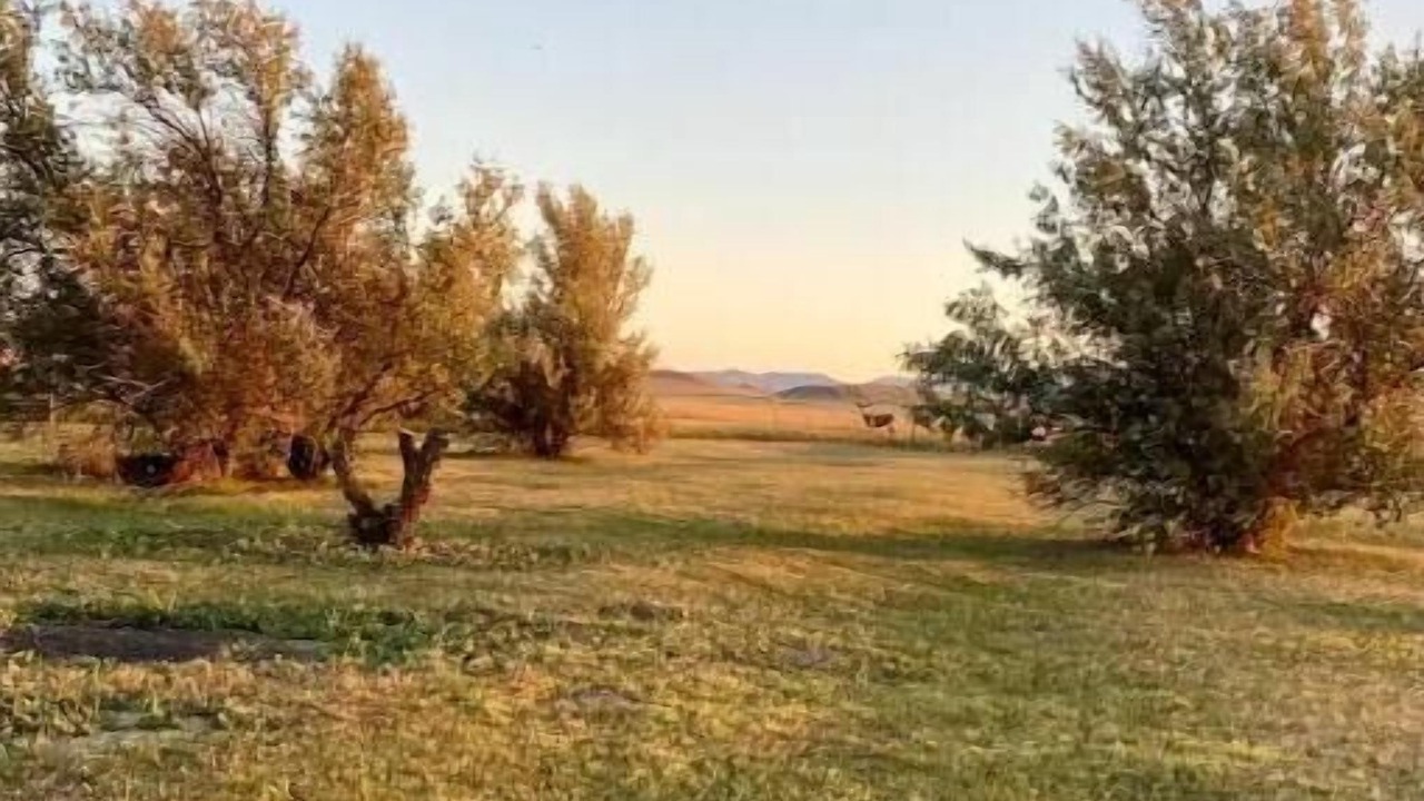 Photo of Others in Chouteau County