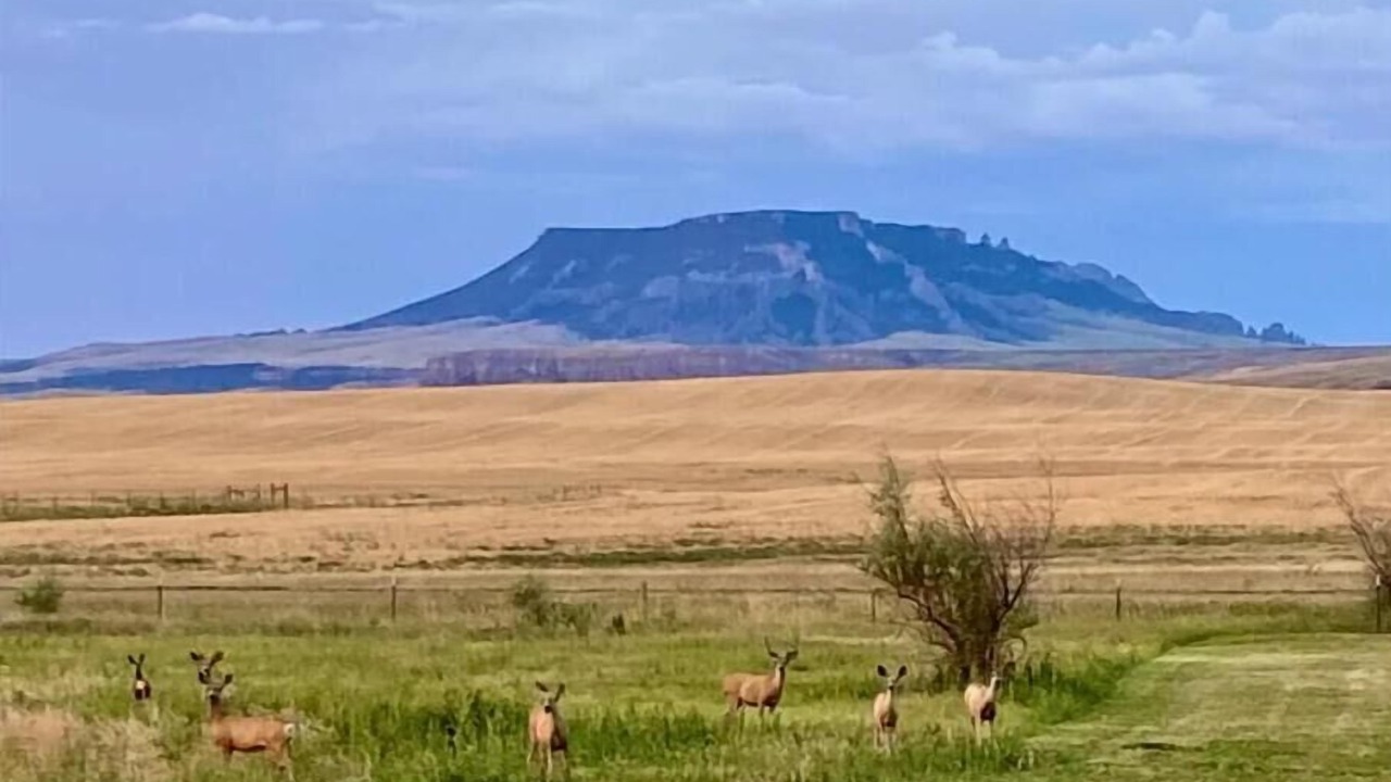 Photo of Others in Chouteau County