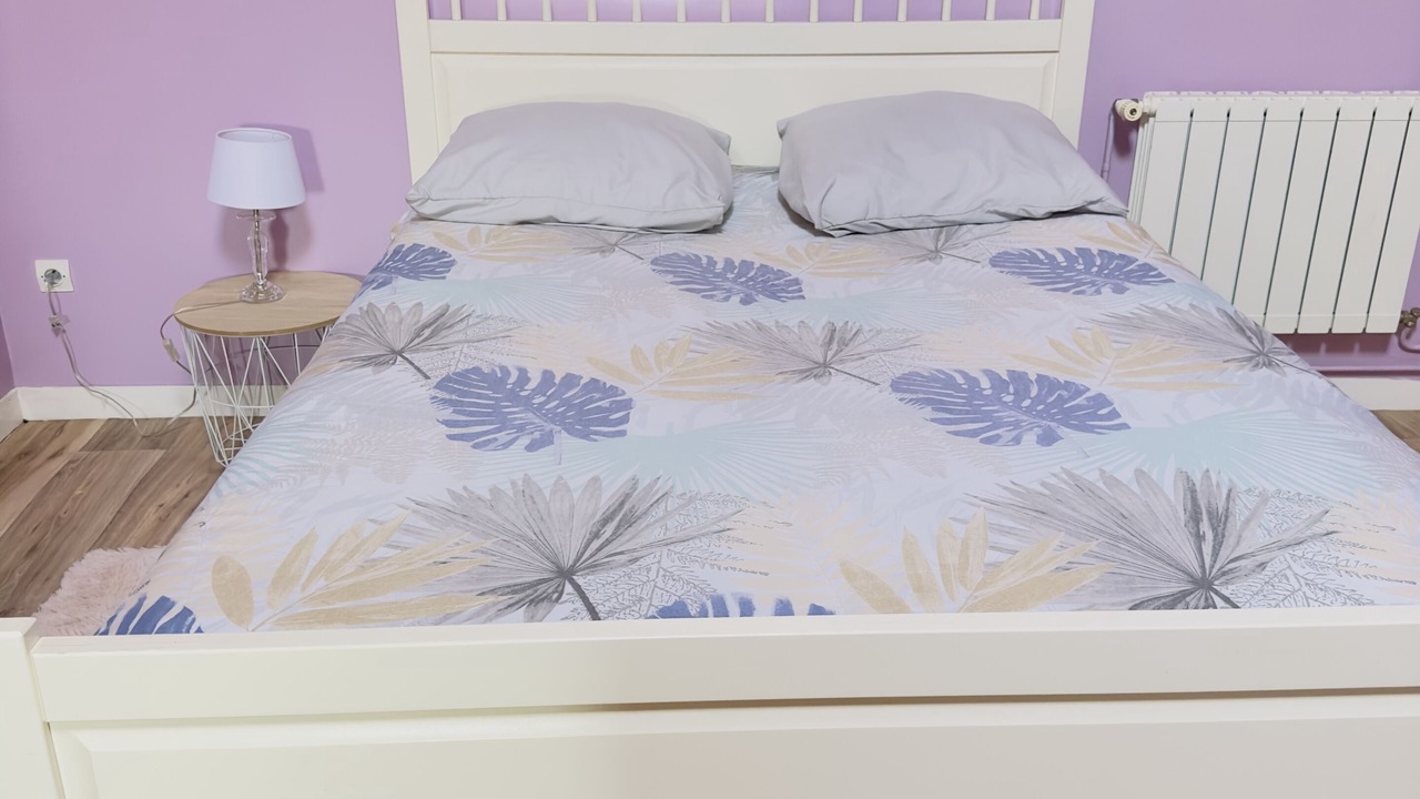 Photo of Bedroom in Chaunay
