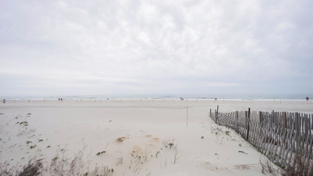Photo of Others in Gulf Shores
