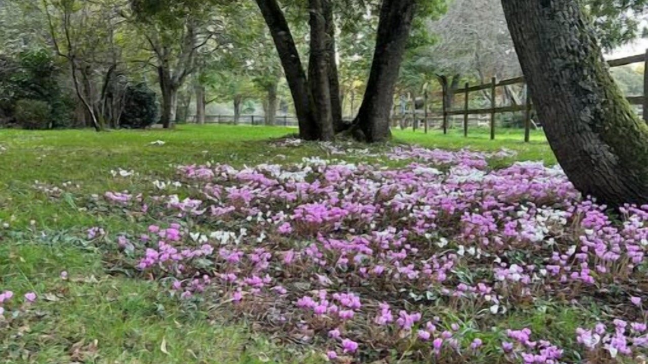Photo of Outdoor in Feneu