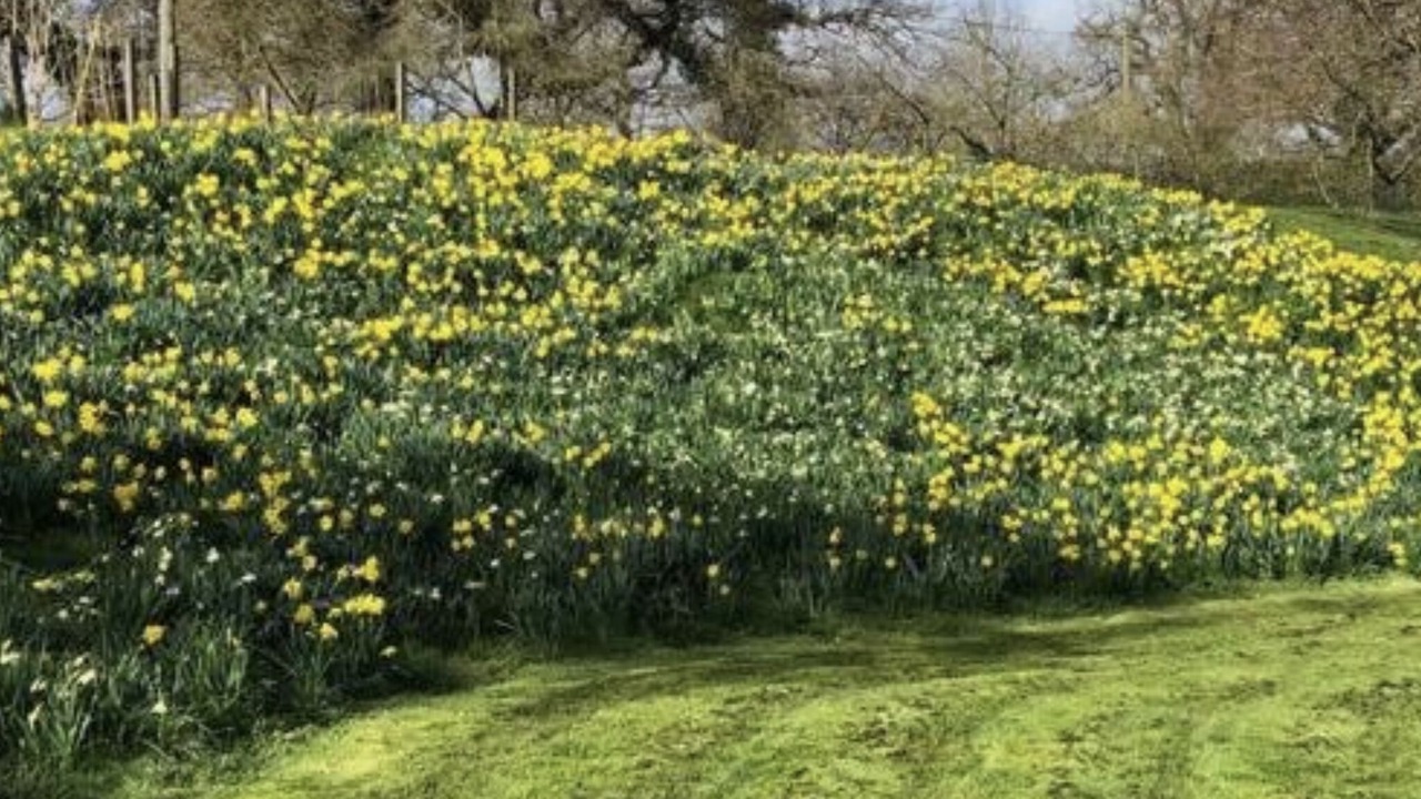 Photo of Others in Malpas