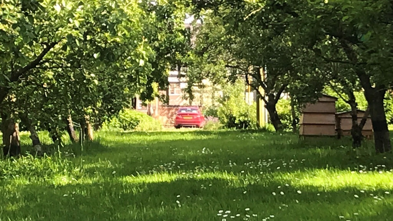 Photo of Outdoor in Malpas