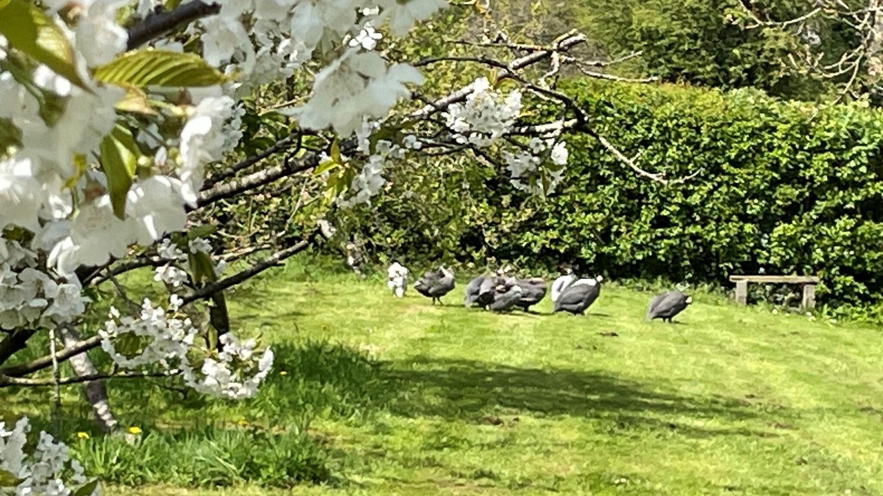 Photo of Outdoor in Malpas