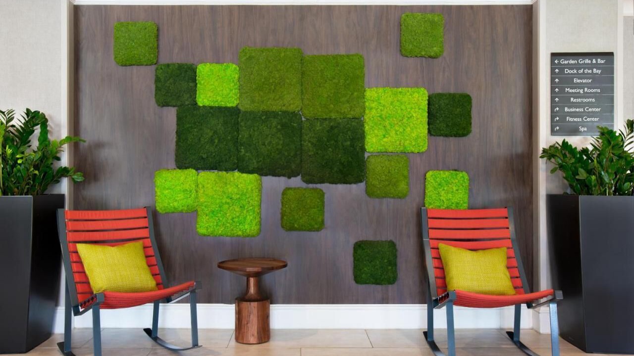 Photo of Others in Bay Area