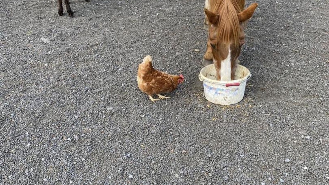 Photo of Others in Villers-Pol